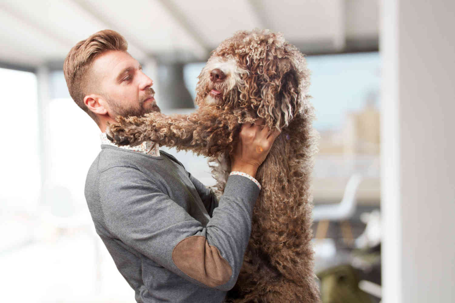 Managing Goldendoodle Fear of Loud Noises: Tips and Tricks for a Calmer Pup